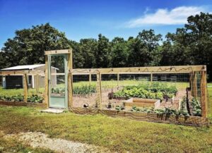 Garden with gate and raised corner garden bed.
