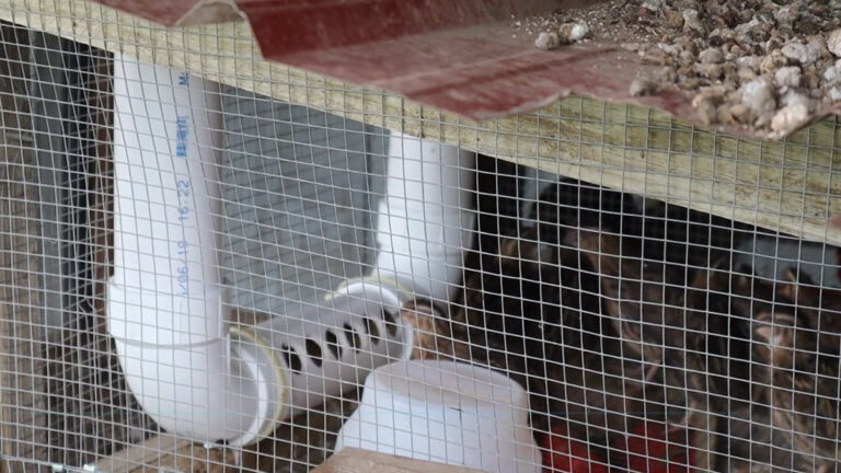 DIY Quail Feeder - Hidden Heights Farm